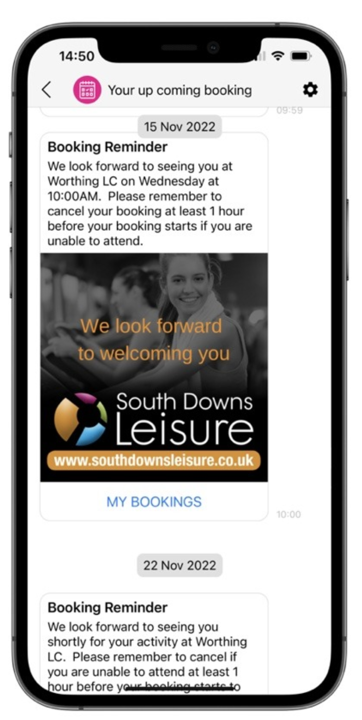 Screen Shot 2024-07-29 at 2.57.17 PM.png